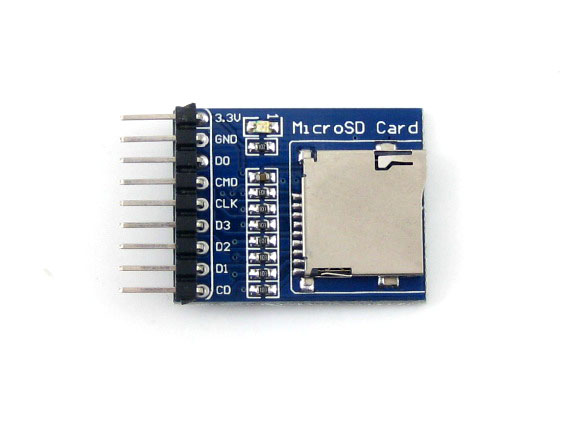 Memory & Data Storage